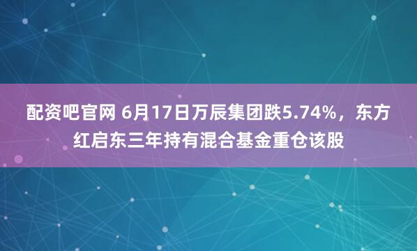 配资吧官网 6月17日万辰集团跌5.74%，东方红启东三年持有混合基金重仓该股